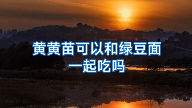 黄黄苗可以和绿豆面一起吃吗
