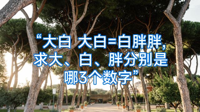 “大白 大白=白胖胖,求大、白、胖分别是哪3个数字”