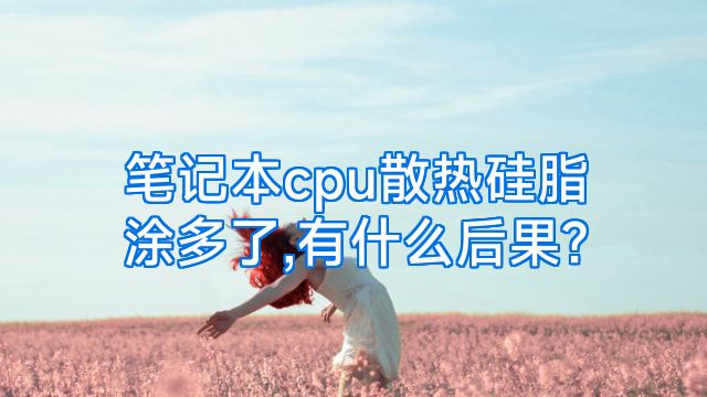 笔记本cpu散热硅脂涂多了,有什么后果?
