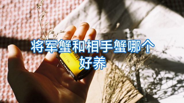 将军蟹和相手蟹哪个好养