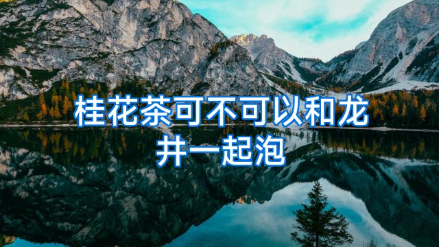 桂花茶可不可以和龙井一起泡