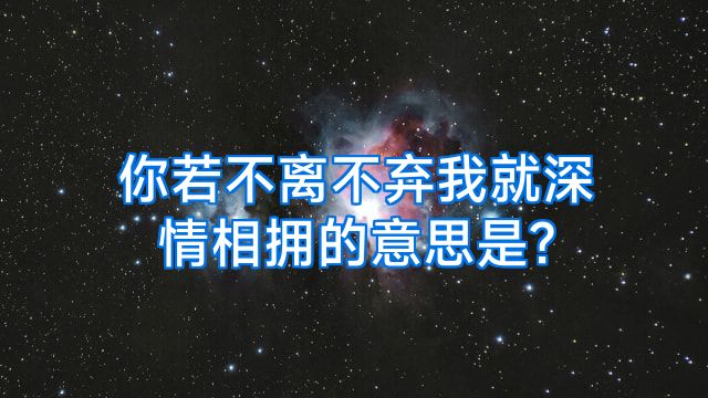你若不离不弃我就深情相拥的意思是?