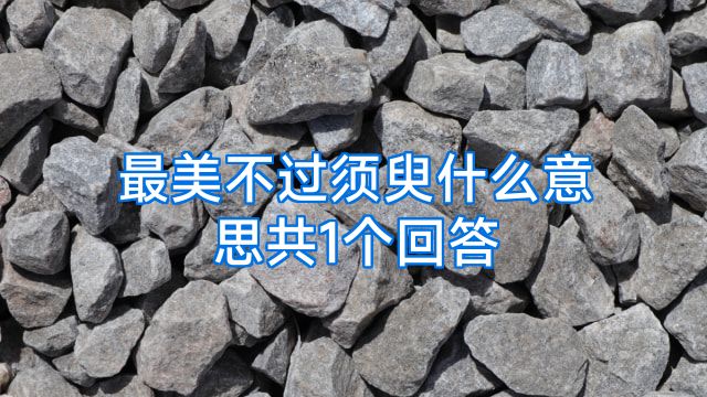最美不过须臾什么意思共1个回答