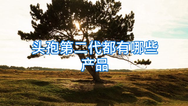 头孢第二代都有哪些产品