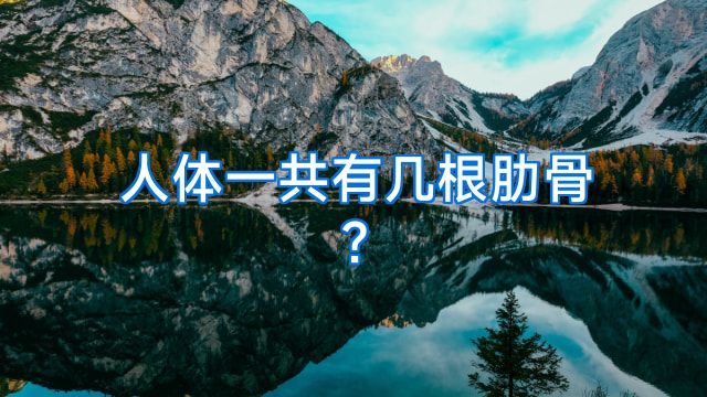 人体一共有几根肋骨?