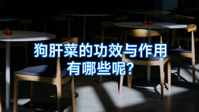 狗肝菜的功效与作用有哪些呢?