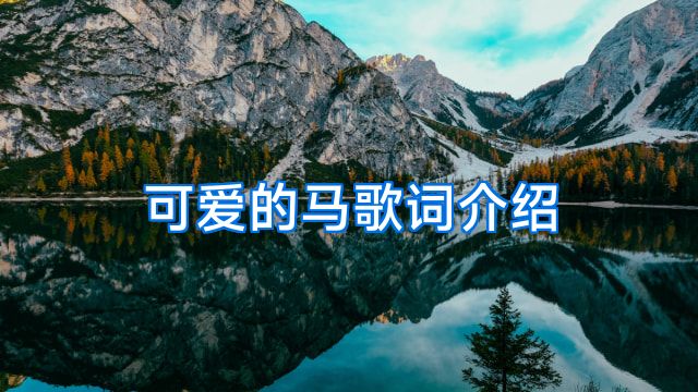 可爱的马歌词介绍