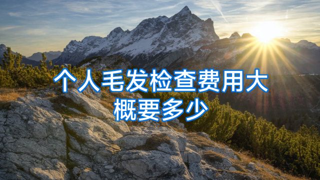 个人毛发检查费用大概要多少