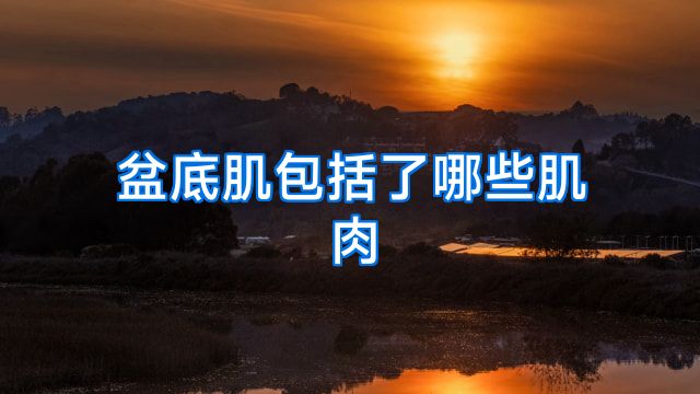 盆底肌包括了哪些肌肉