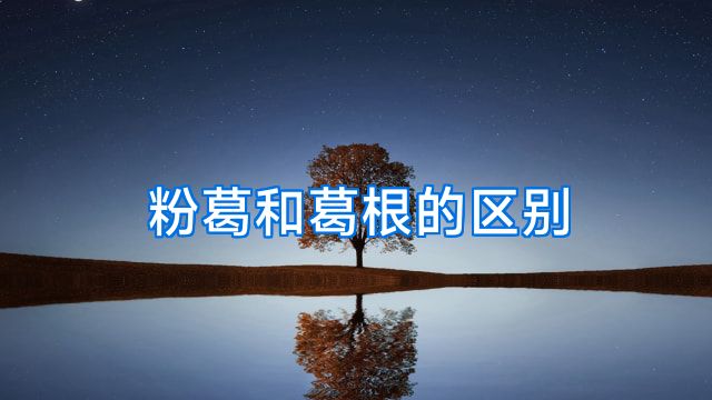粉葛和葛根的区别