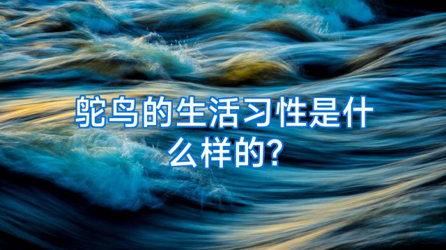 鸵鸟的生活习性是什么样的?