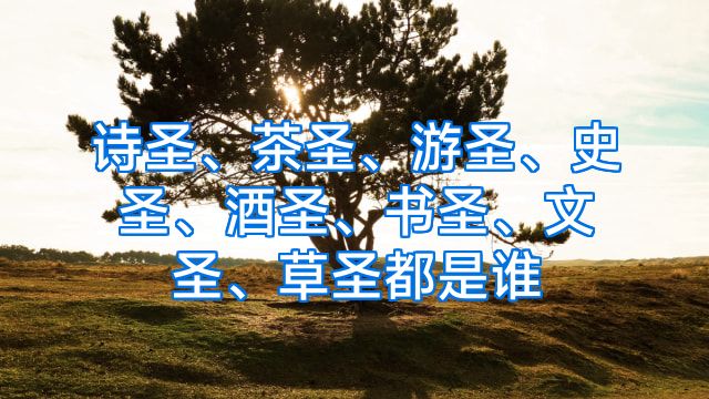 诗圣、茶圣、游圣、史圣、酒圣、书圣、文圣、草圣都是谁