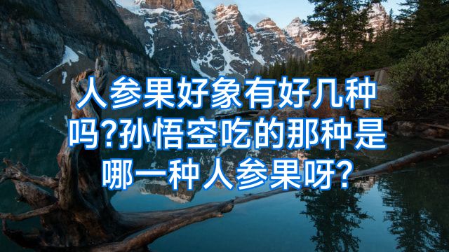 人参果好象有好几种吗?孙悟空吃的那种是哪一种人参果呀?