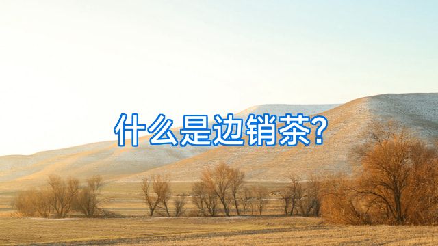 什么是边销茶?
