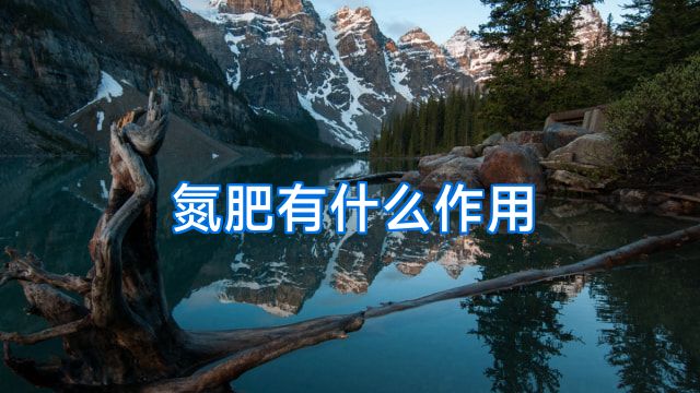 氮肥有什么作用
