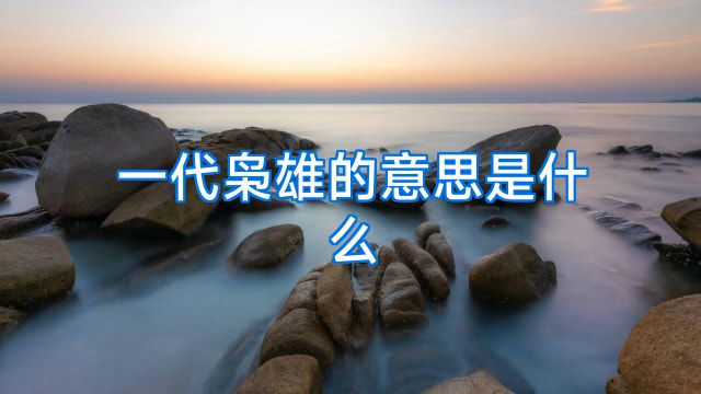 一代枭雄的意思是什么