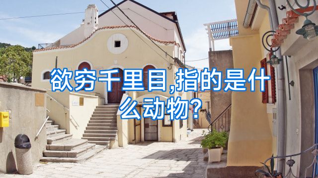 欲穷千里目,指的是什么动物?
