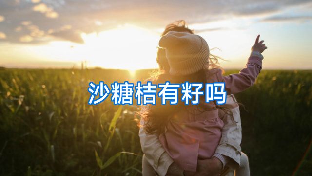 沙糖桔有籽吗