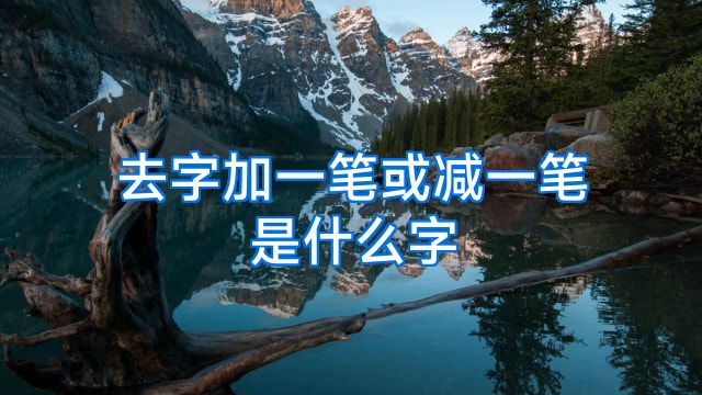 去字加一笔或减一笔是什么字