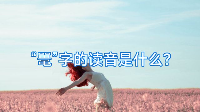 “鼍”字的读音是什么?