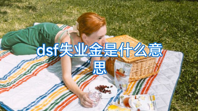 dsf失业金是什么意思