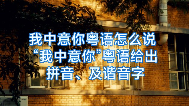 我中意你粤语怎么说“我中意你”粤语给出拼音、及谐音字