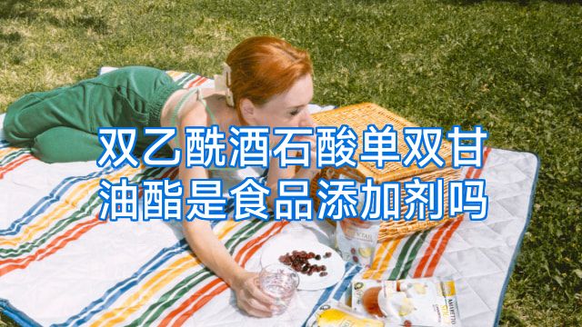双乙酰酒石酸单双甘油酯是食品添加剂吗