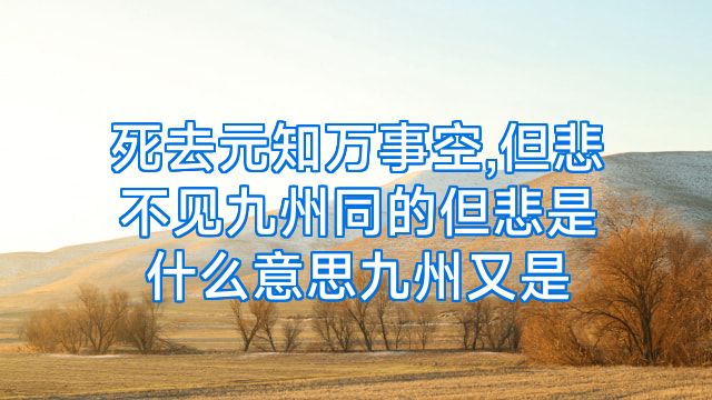 死去元知万事空,但悲不见九州同的但悲是什么意思九州又是