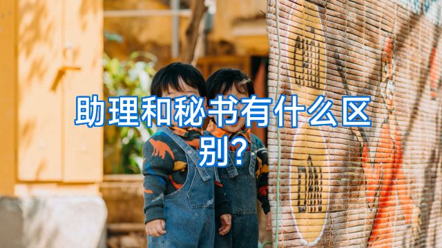 助理和秘书有什么区别?