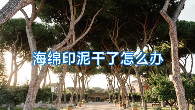 海绵印泥干了怎么办