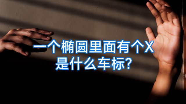 一个椭圆里面有个X是什么车标?