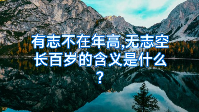 有志不在年高,无志空长百岁的含义是什么?