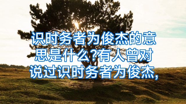 识时务者为俊杰的意思是什么?有人曾对说过识时务者为俊杰,