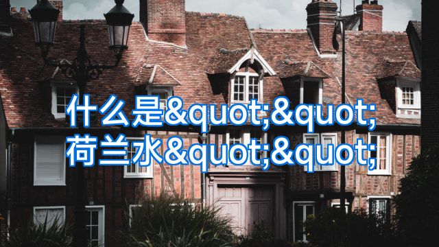什么是""荷兰水""