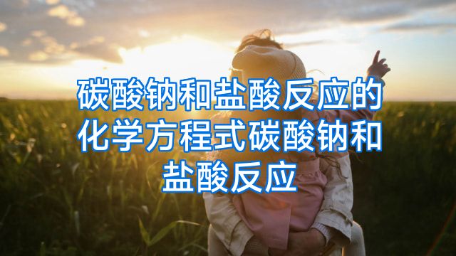 碳酸钠和盐酸反应的化学方程式碳酸钠和盐酸反应