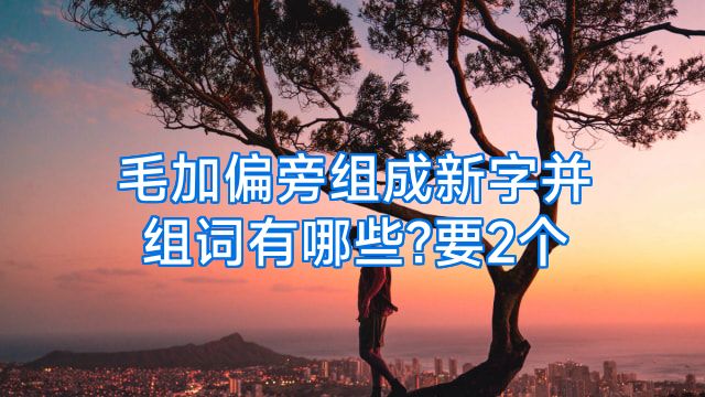 毛加偏旁组成新字并组词有哪些?要2个
