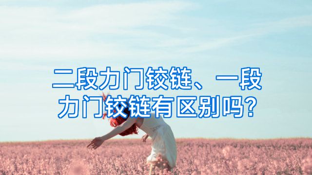 二段力门铰链、一段力门铰链有区别吗?