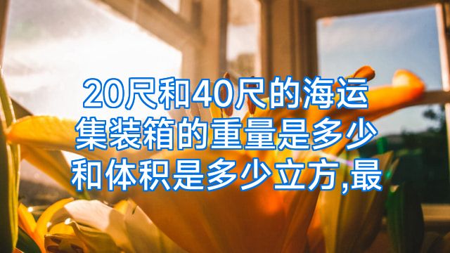 20尺和40尺的海运集装箱的重量是多少和体积是多少立方,最