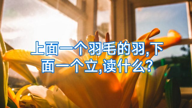 上面一个羽毛的羽,下面一个立,读什么?