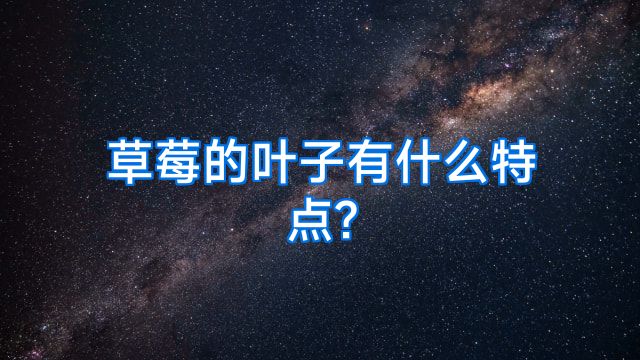 草莓的叶子有什么特点?