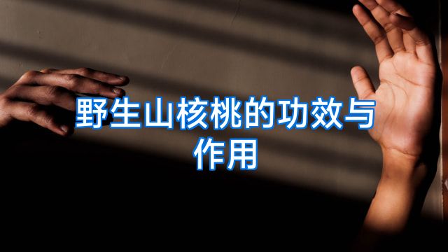 野生山核桃的功效与作用