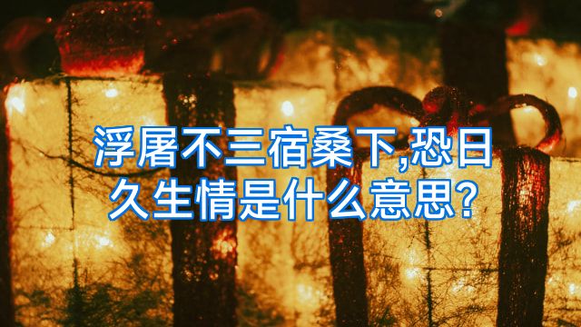 浮屠不三宿桑下,恐日久生情是什么意思?