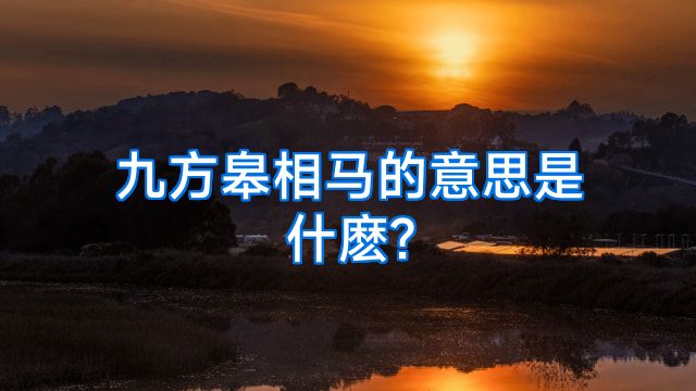 九方皋相马的意思是什麽?