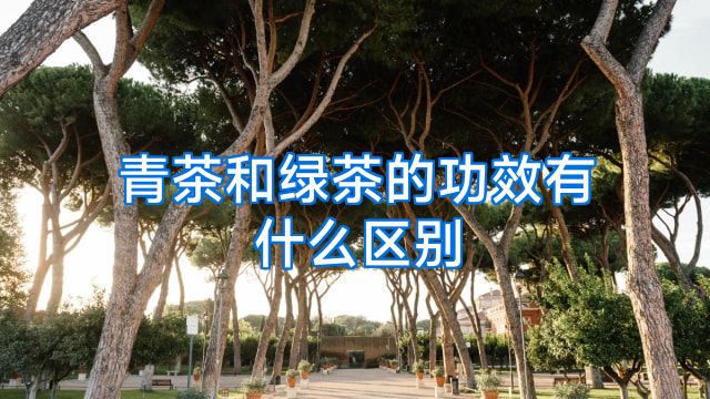 青茶和绿茶的功效有什么区别