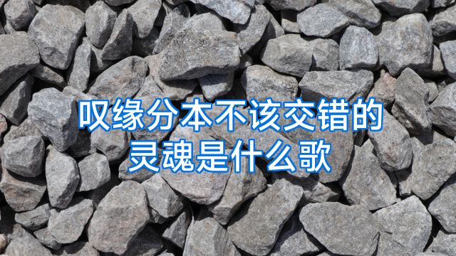 叹缘分本不该交错的灵魂是什么歌