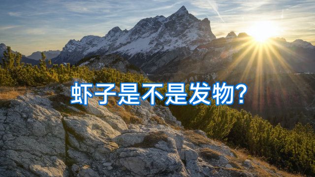 虾子是不是发物?