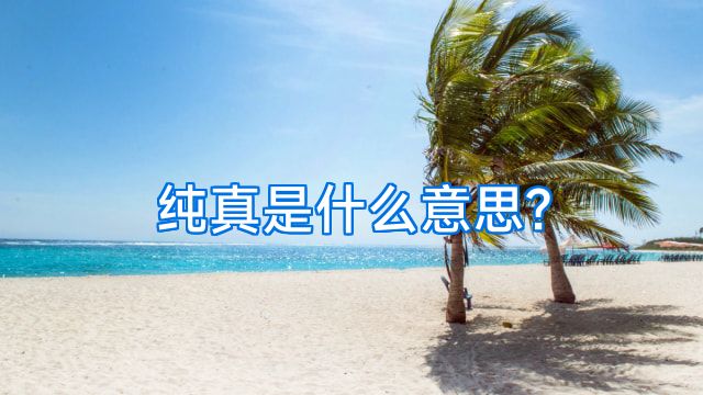 纯真是什么意思?