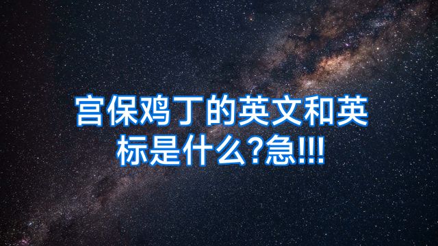 宫保鸡丁的英文和英标是什么?急!!!