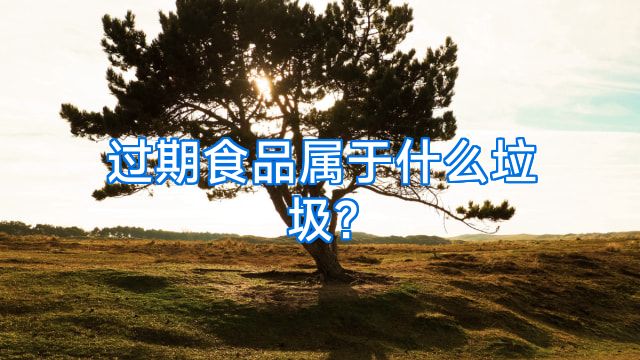 过期食品属于什么垃圾?