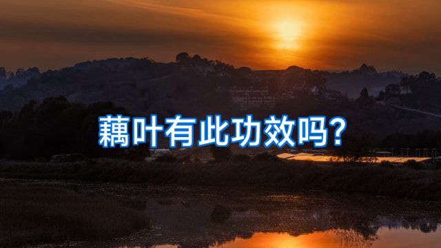藕叶有此功效吗?